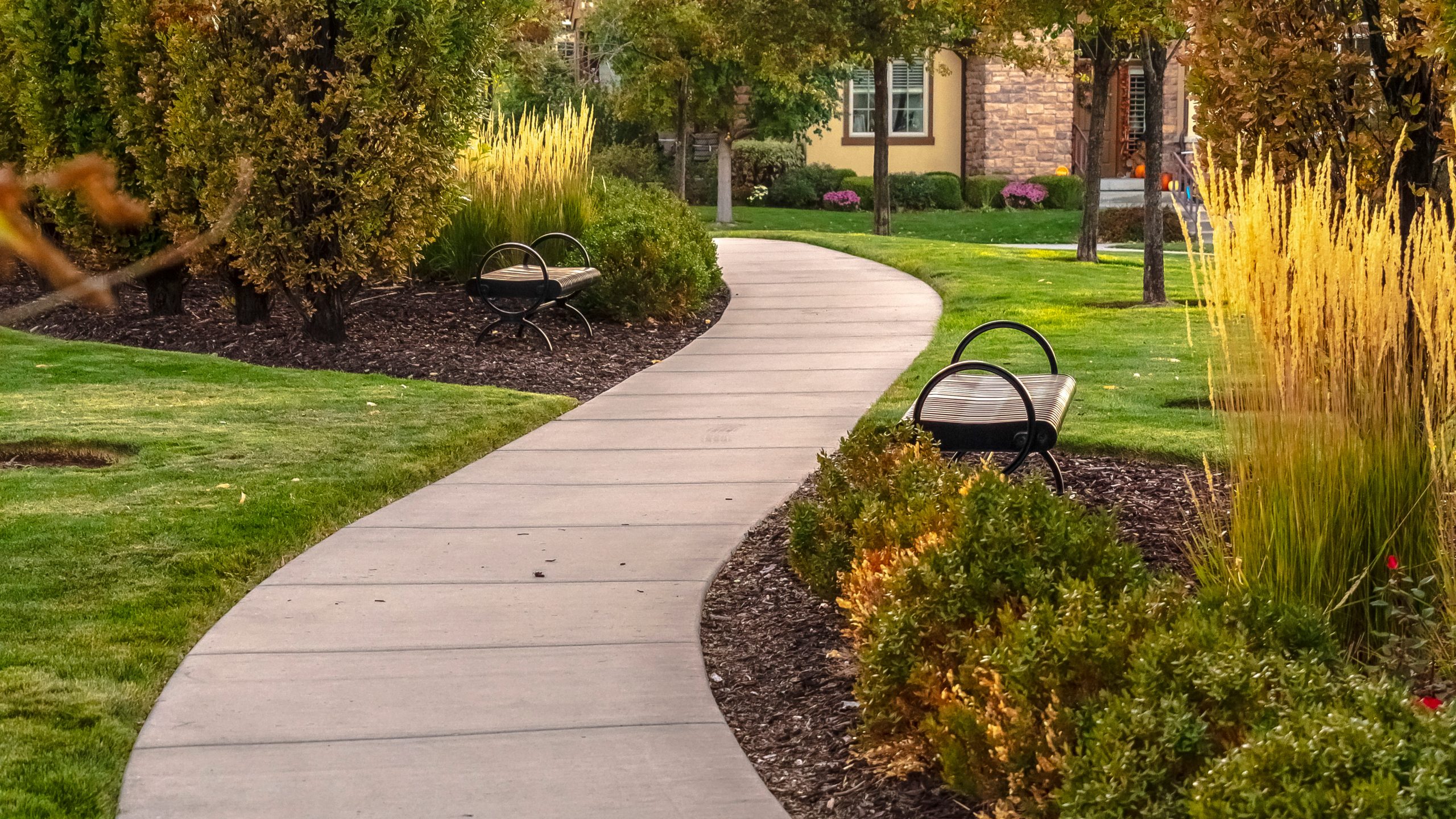 Panorama Paved Walkway Through A Landscaped Garden Day